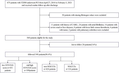 The association between fibrinogen levels and severity of coronary artery disease and long-term prognosis following percutaneous coronary intervention in patients with type 2 diabetes mellitus